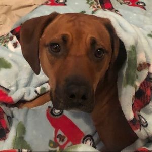 Meet your Posher, Michael